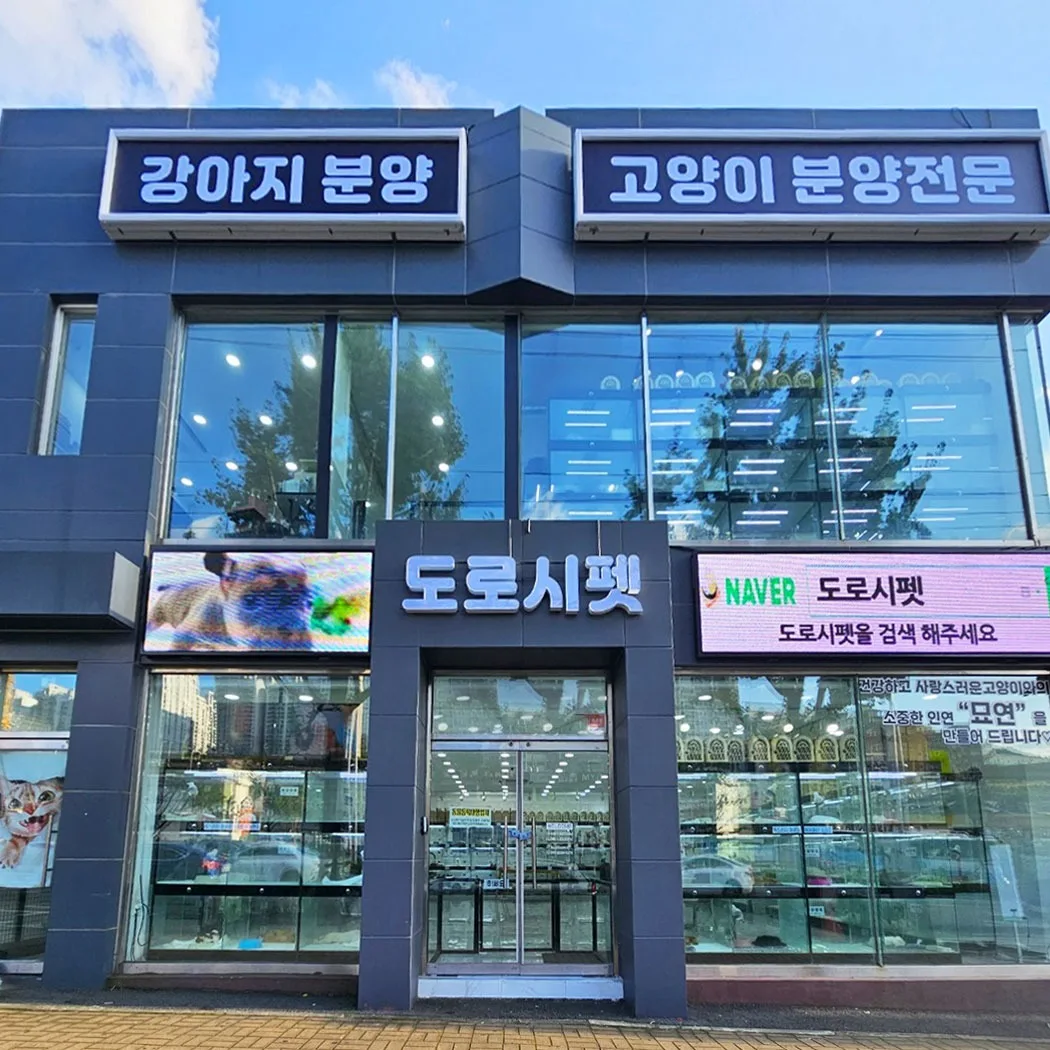 도로시펫 부산본점 매장 외관