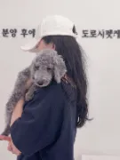 도로시펫 부산본점 분양후케어 사진