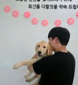 도로시펫 부산본점 분양후기 사진