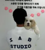 도로시펫 부산본점 분양후기 사진