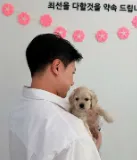 도로시펫 부산본점 분양후기 사진