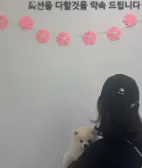 도로시펫 부산본점 분양후기 사진